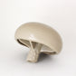 Loblola milkcap mushroom enrichment toy