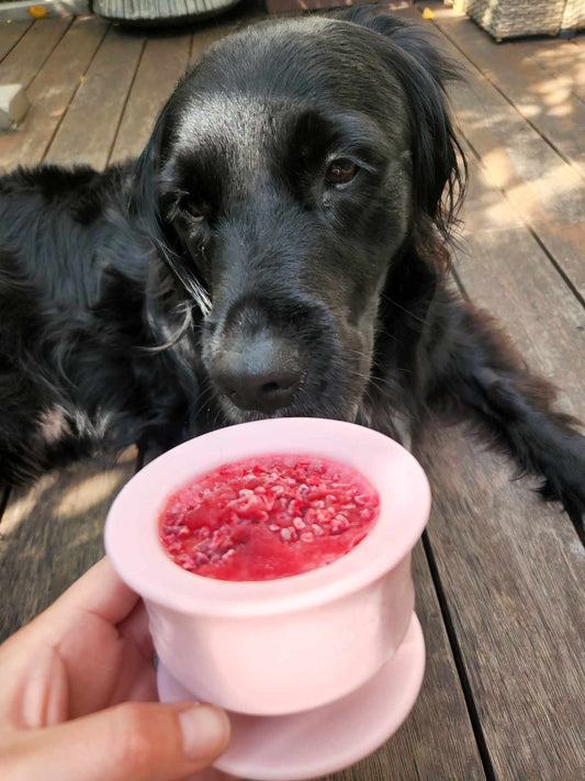 Santa shake Christmas drink for dogs