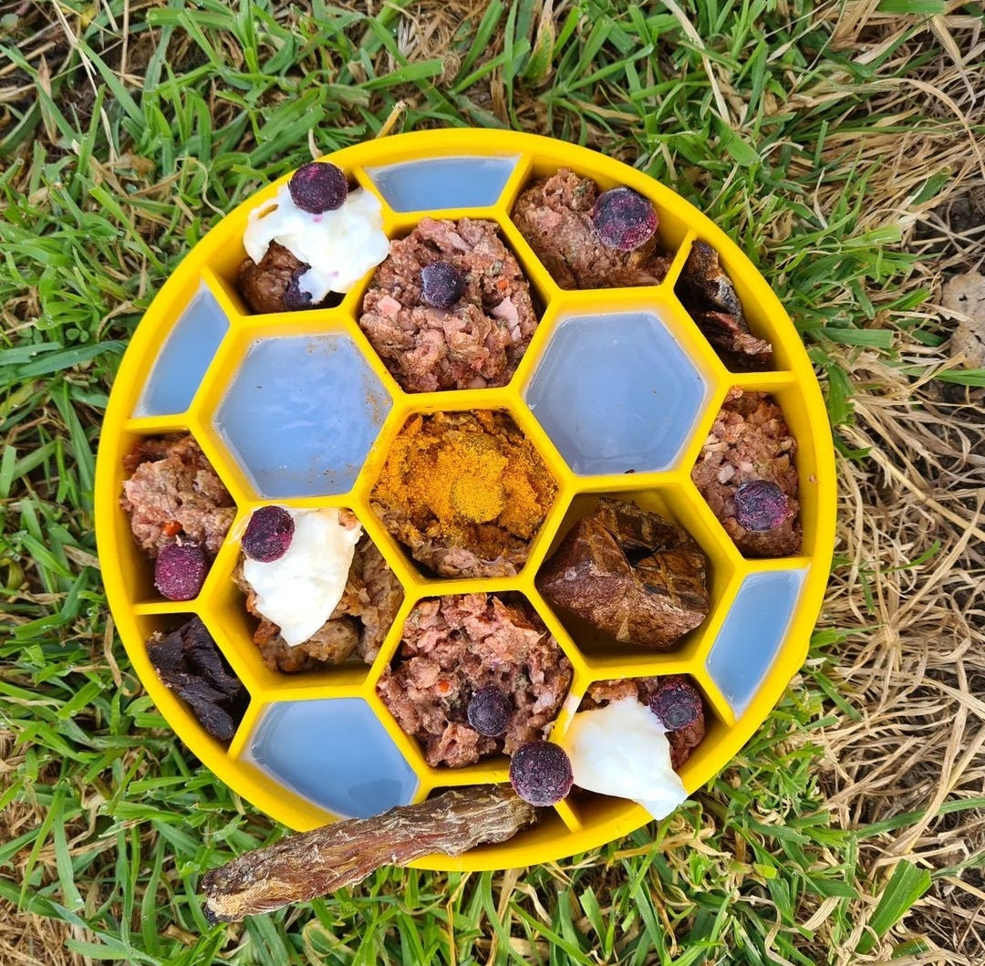 SodaPup Honeycomb Slow Feeder Bowl Yellow – Four Muddy Paws