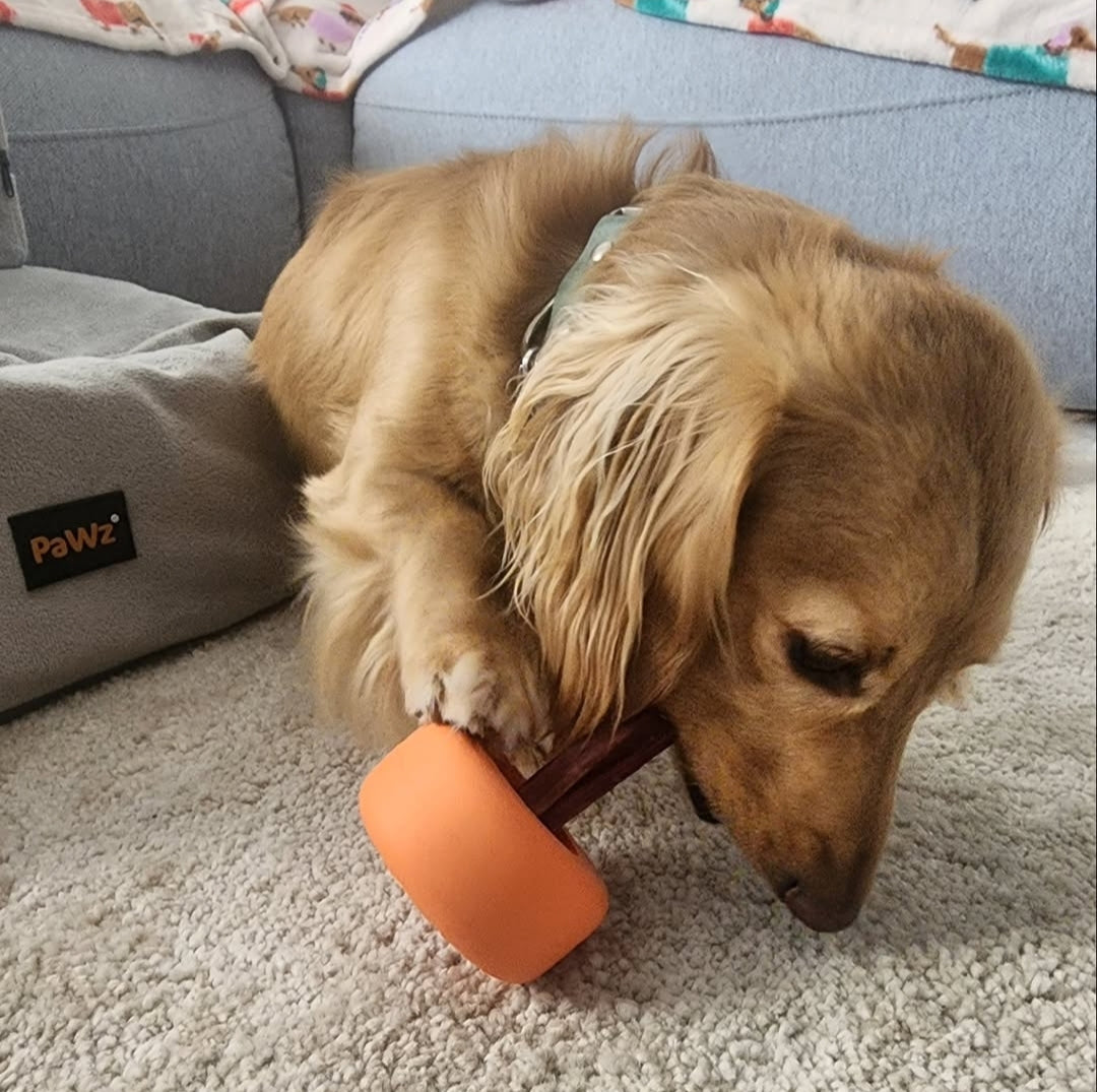 Bully Grip - Bully stick & chew treat holder - Medium
