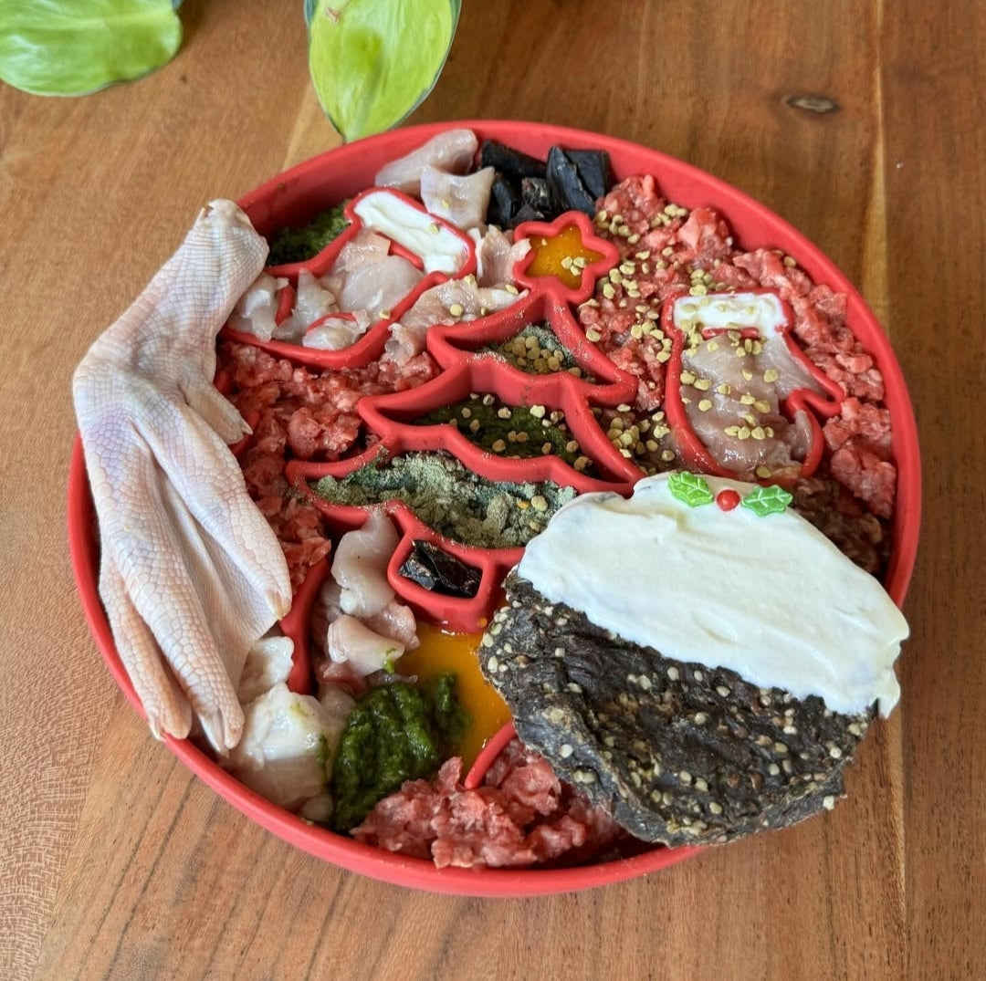 Festive Christmas slow feeder bowl for dogs