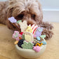 Loblola mushroom enrichment toy