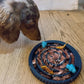 Freezbone freezswirl enrichment feeder