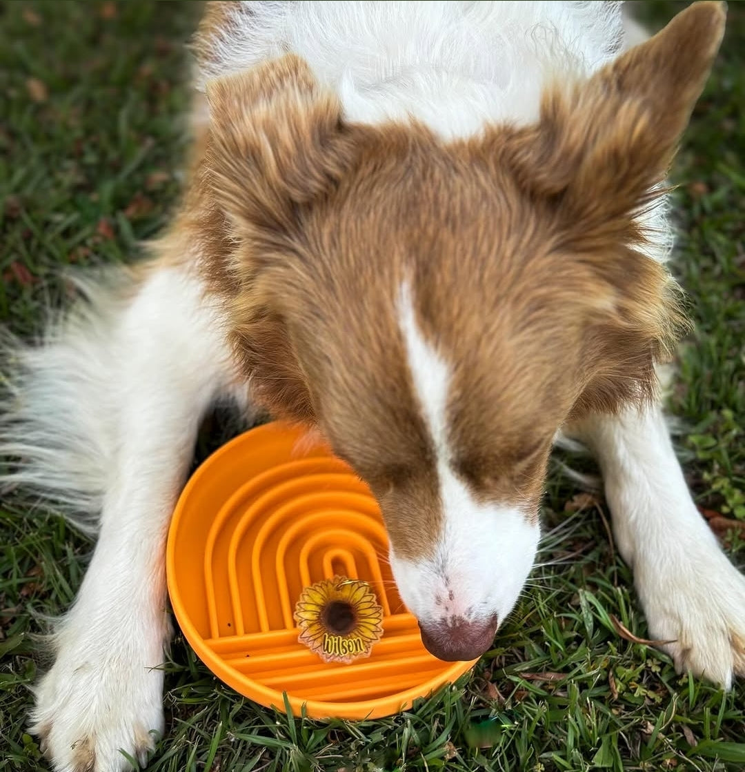 Aurora Slow Feeder Bowl