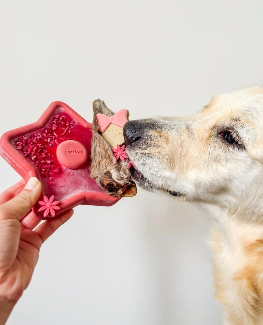 Freezbone - Freezstar enrichment feeder