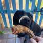 Dehydrated Turkey Necks - Dog treats