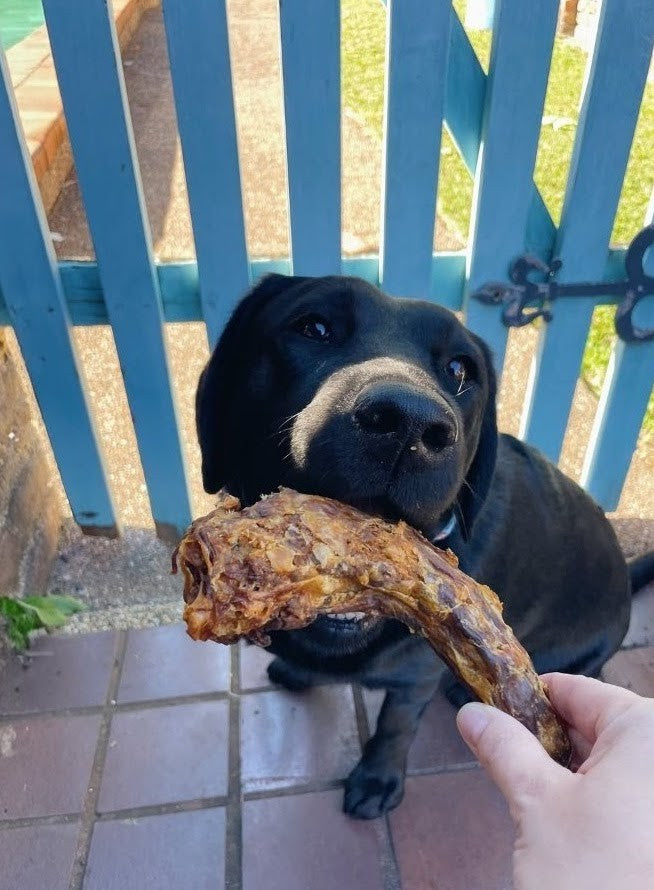 Dehydrated Turkey Necks - Dog treats