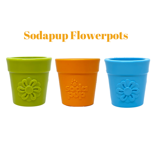 Sodapup flowerpots slow feeder bowls