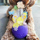 West paw Rumbl treat dispenser and slow feeder bowl