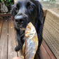 Dehydrated Sardines Dog treats