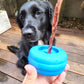 Bully grip - Bully stick and treat holder