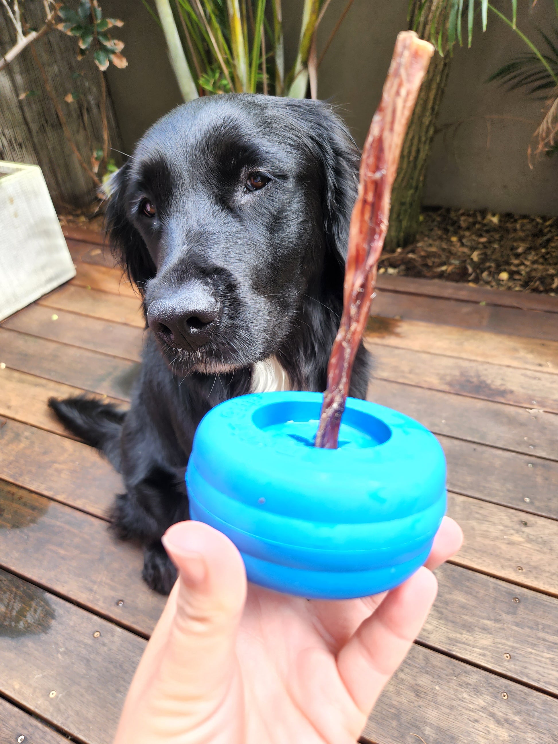Bully grip - Bully stick and treat holder