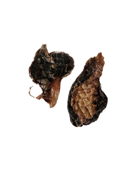 Kangaroo knee tendons dog treats