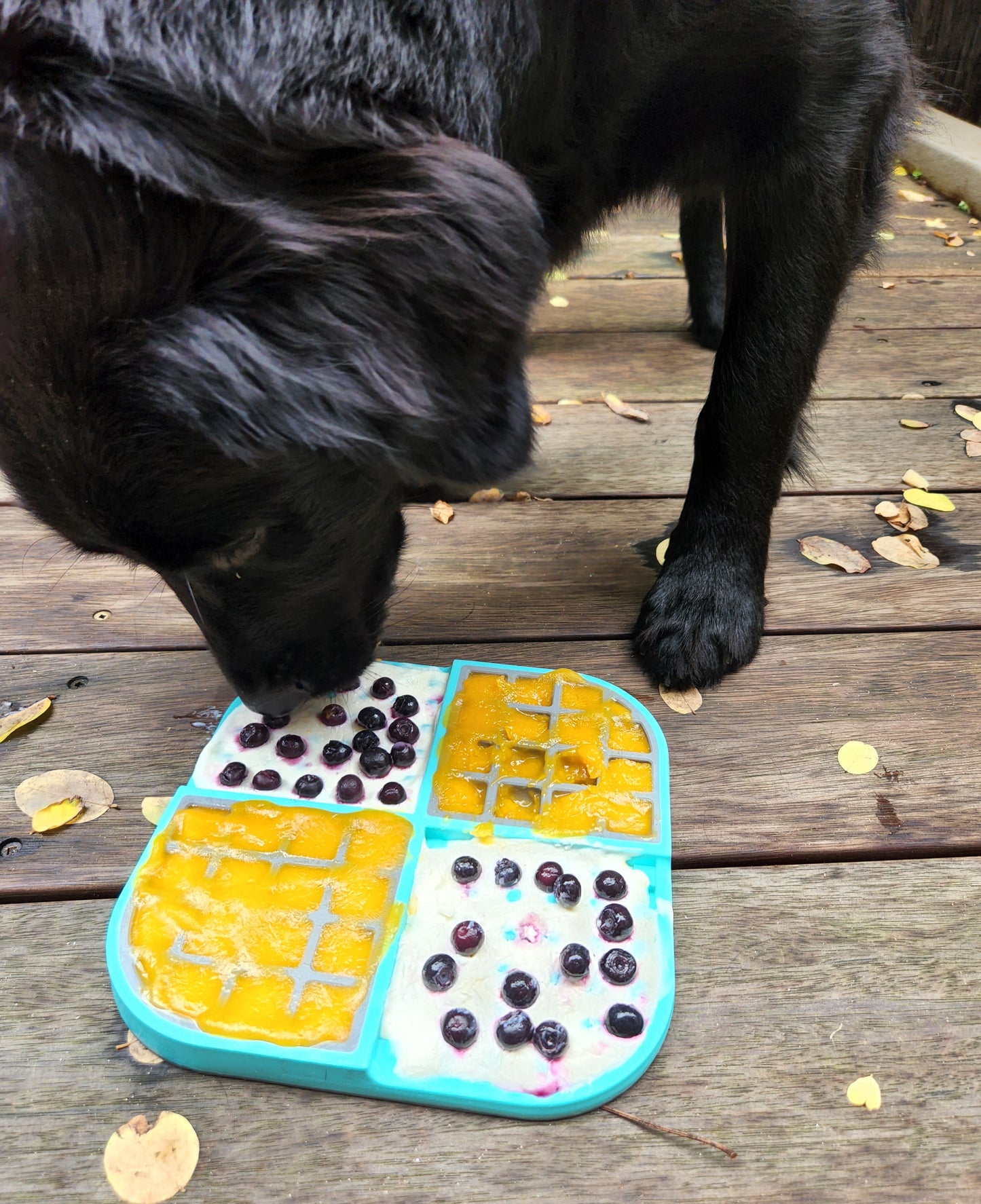 Lickimat SloMo Slow Feeder Bowl