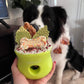 West Paw Toppl slow feeder bowl & treats dispenser 