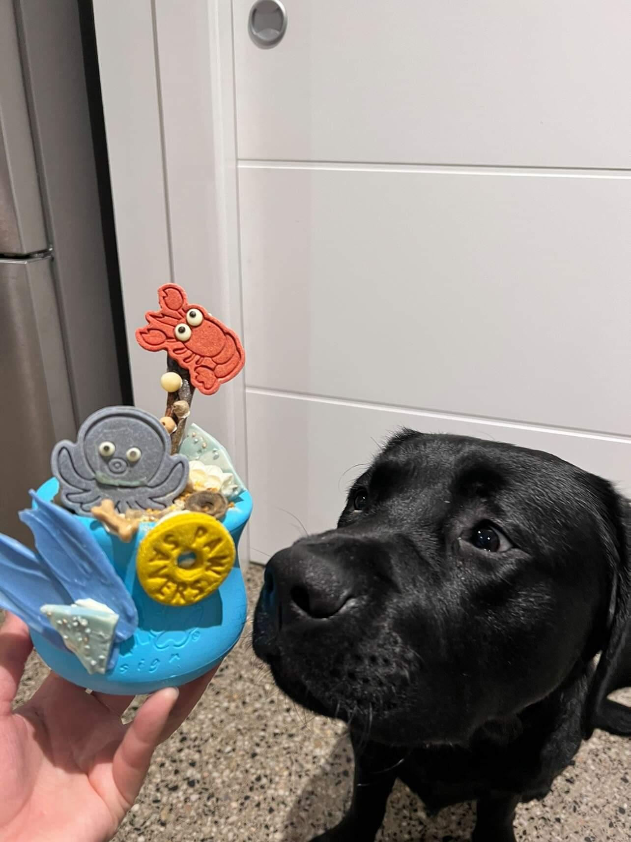 West Paw Toppl slow feeder bowl & treats dispenser 