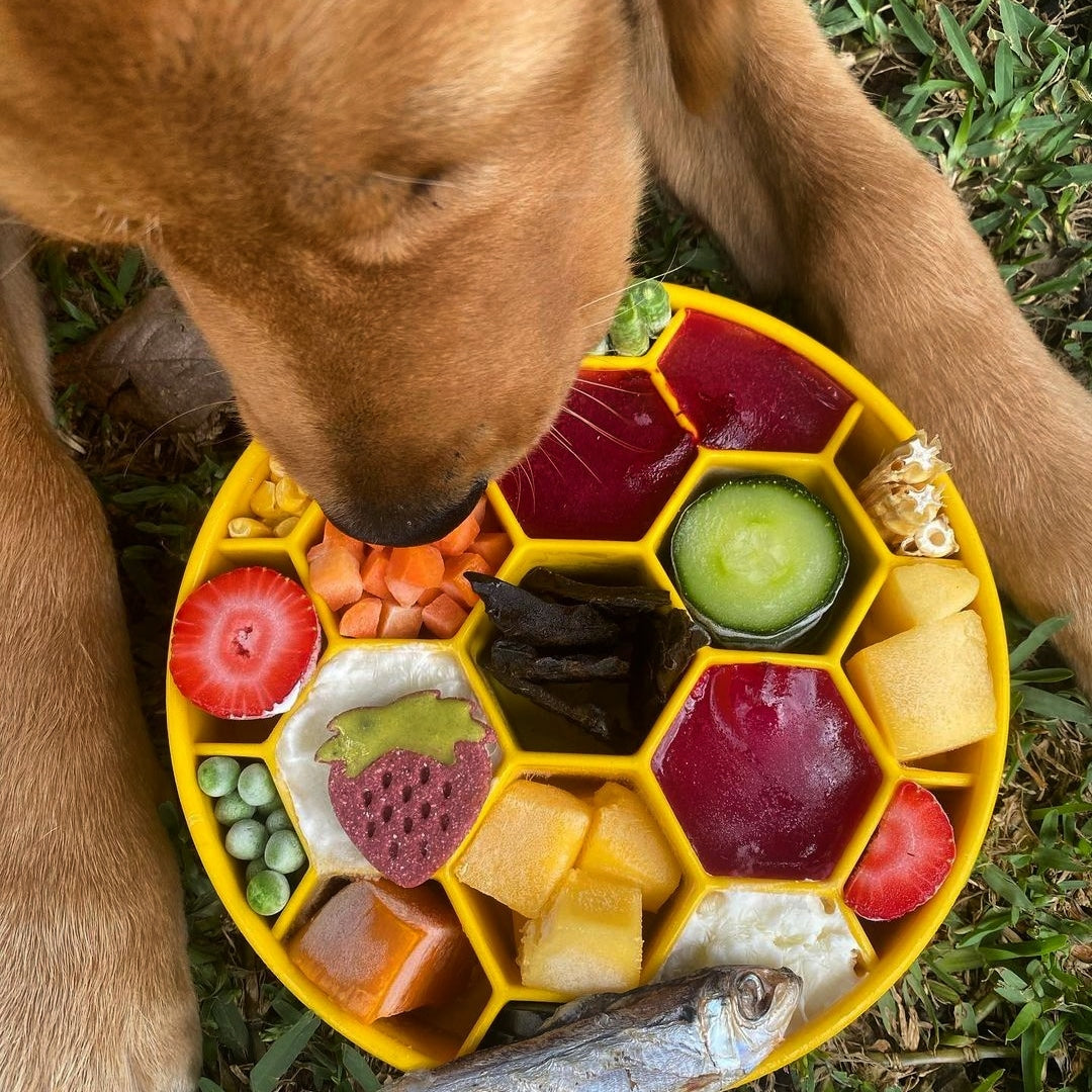 Sodapup Honey ebowl 