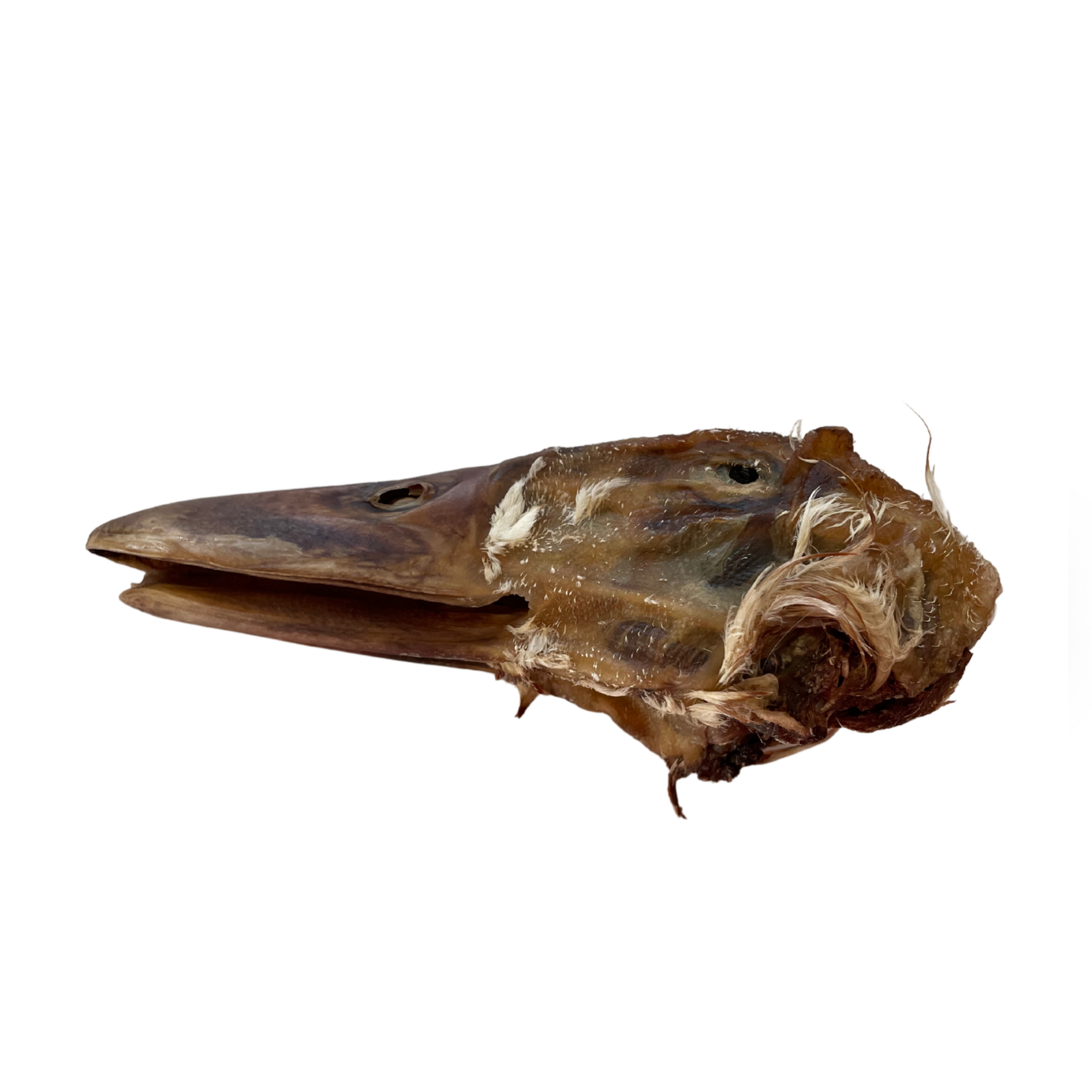 Dehydrated Duck Heads Dog Treats Treatos & More